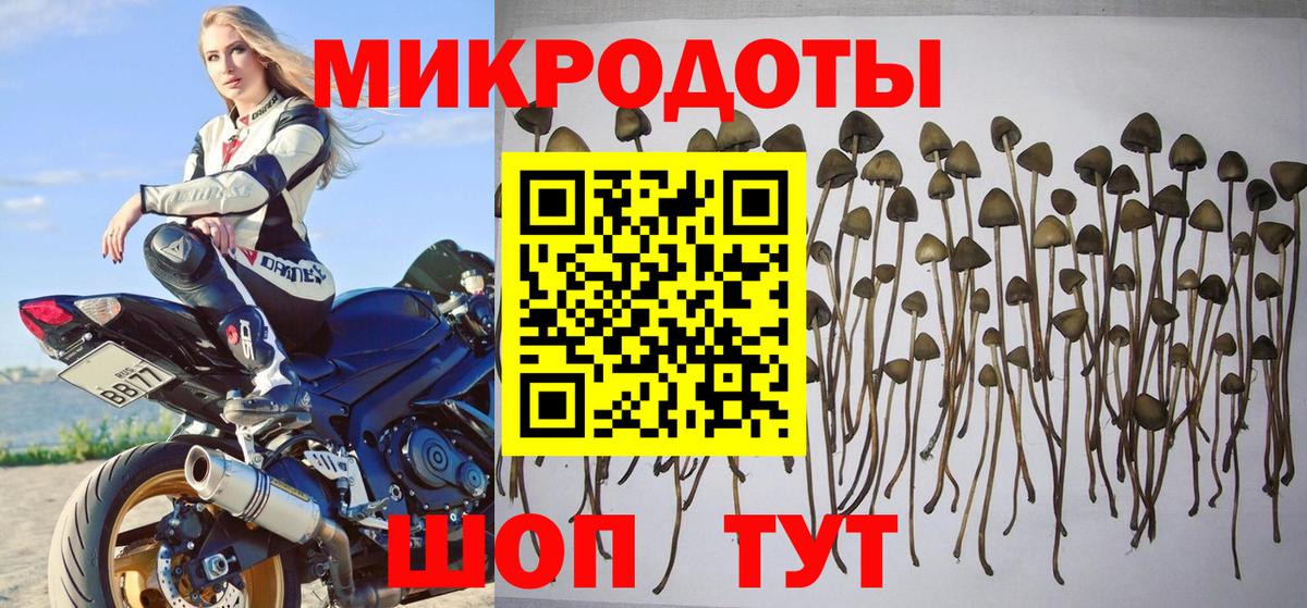 Галлюциногенные грибы GOLDEN TEACHER Абакан